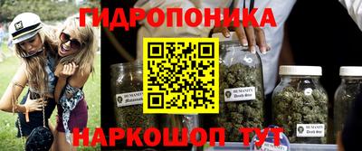 меф Дубна