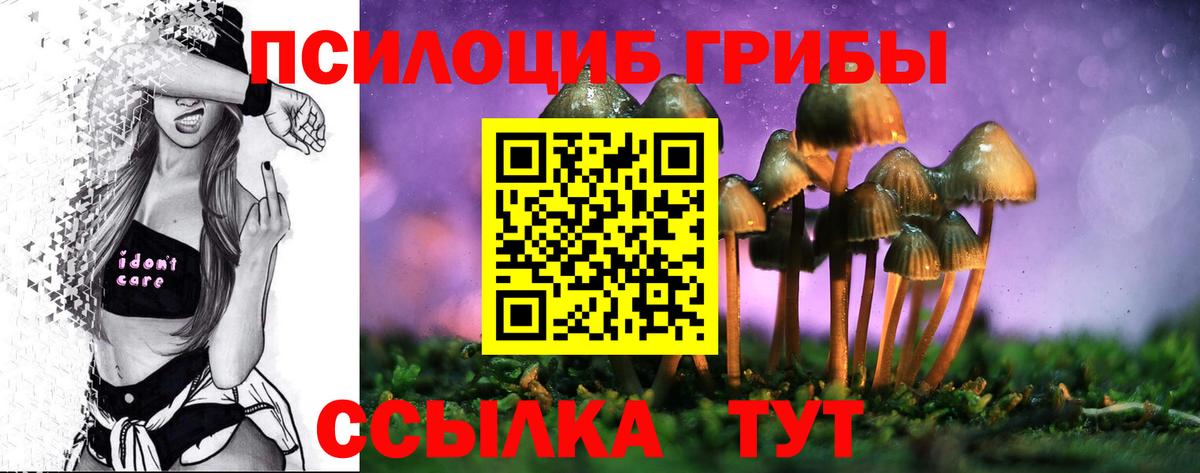 Галлюциногенные грибы Cubensis Лянтор